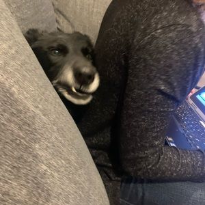 Meet your Posher, Caitlin